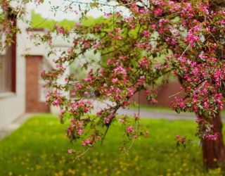 *Клязьма оздоровительный комплекс