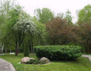 *Клязьма оздоровительный комплекс