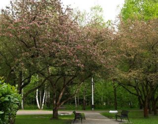 *Клязьма оздоровительный комплекс