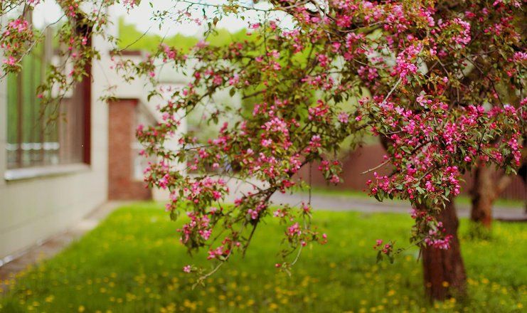 *Клязьма оздоровительный комплекс