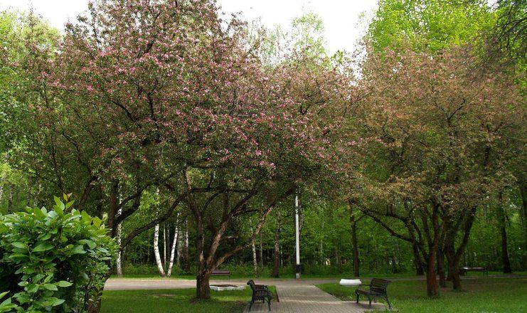 *Клязьма оздоровительный комплекс